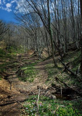 Прикрепленное изображение: IMG_1113м.jpg